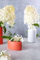 Cut hydrangea flower heads in red and white vases .