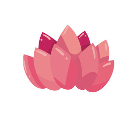 flat pink lotus illustration