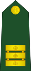 Shoulder pad NATO officer mark for the SENIOR LIEUTENANT insignia rank in the Slovenian Ground Force