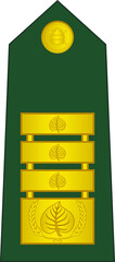 Shoulder pad NATO officer mark for the LIEUTENANT COLONEL GENERAL insignia rank in the Slovenian Ground Force