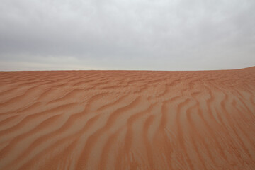 Fototapeta na wymiar Desert Sand