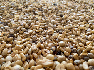 White coffee beans. Wet processed, pulped natural or honey stage. White Coffee beans are regular coffee beans that are only half roasted so the beans do not turn the typical brown.