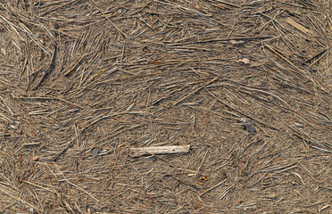 Tightly compacted and dense stick debris detritus pattern background deposited by wind and water