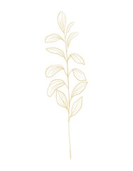 Gold line botanical illustration of branch