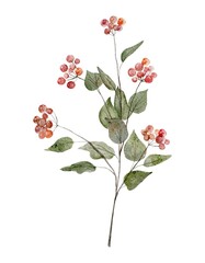 Watercolor botanical clipart of green branch