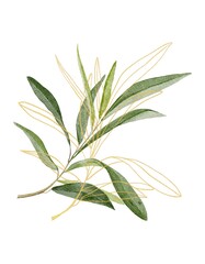 Watercolor botanical clipart with green botanical branch and gold line branch 