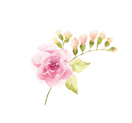Bouquet of pink flowers and plants on a white background. hand painted .