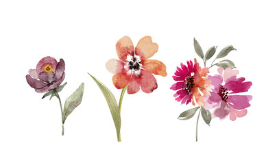 Fototapeta na wymiar Botanical set of watercolor flowers and bouquets on a white background. illustration hand painted.