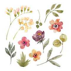 Botanical set of watercolor illustrations of flowers and plants on a white background. hand painted . - obrazy, fototapety, plakaty