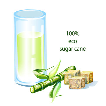 glass, sweet drink, sugar cane green branches of sugar cane on a white background, cubes of sugar, the inscription, colored drawing hands