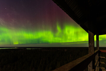 Aurora borealis, The Northern lights at the lake Usma and forest, Latvia. Wooden watching tower. Aerial view.