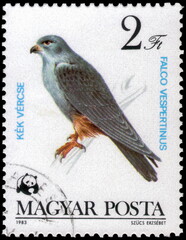 Postage stamp issued in the Hungary with the image of the Red-footed Falcon, Falco vespertinus....