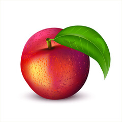 3d Realistic Fresh sweet peach with green leaf isolated on white background. Vector illustration of a ripe peach 
