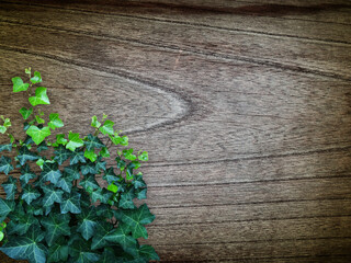 木目背景とグリーン