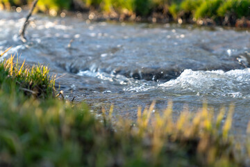 Water in river with grass