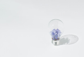 Light bulb filled with violet hyacinth flowers set upright on white background.