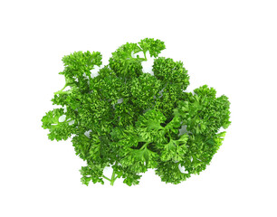 Fresh parsley leaves isolated on white background. Top view
