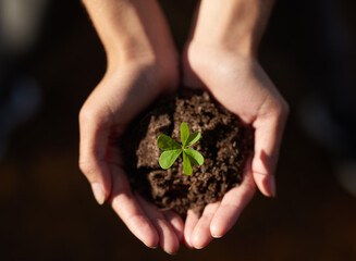 The key to a greener planet is in your hands. Shot of an unidentifiable young woman holding a seedling in a pile of soil.