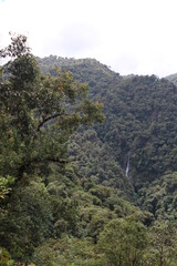 Fototapeta na wymiar View of waterfall in tropical cloud forest located in Tapanti National Park in Costa Rica