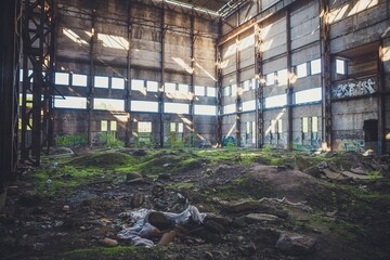 Fototapety na wymiar - Fototapeta24.pl