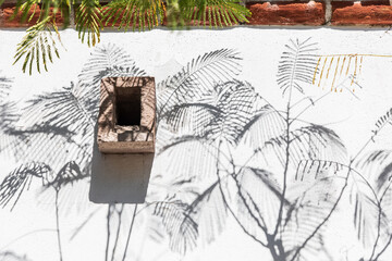 Shadows of plants on a white stucco wall.
