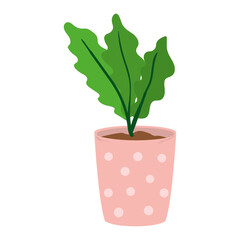 cute houseplant design