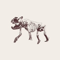 dog skull Vector drawing illustration black and white engrave isolated illustration