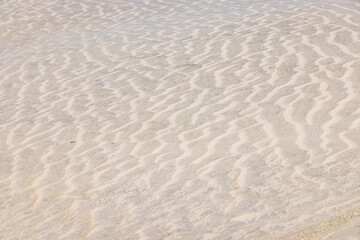 Sand dunes along the western coast of the Baja peninsula.