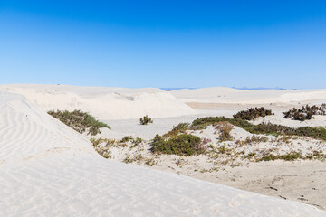 Sand dunes along the western coast of the Baja peninsula.