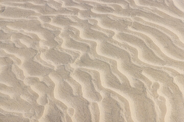 Fototapeta na wymiar Sand dunes along the western coast of the Baja peninsula.