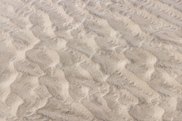 Sand dunes along the western coast of the Baja peninsula.