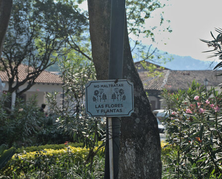 No maltratar las flores y las plantas. Valle de Bravo, Estado de M&eacute;xico