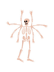 flat skeleton with many hands