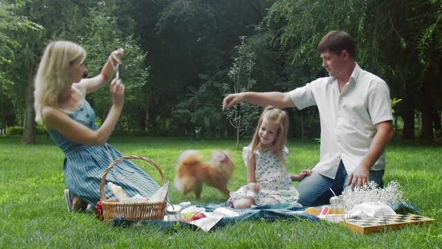 Father and daughter play with the dog at a picnic in the park, and their mother photos on the phone