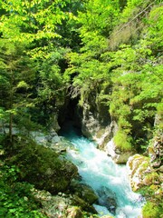 Kamniska Bistrica river, Slovenia flowing out of a dark cave of Predaselj with bright green foliage