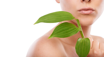 Fresh and flawless. A cropped image of a woman holding green leaves up to her face.