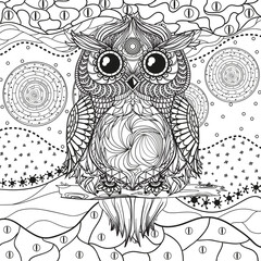 Abstract eastern pattern with owl on isolated white. Zentangle. Hand drawn abstract patterns on isolation background. Design for spiritual relaxation for adults. Black and white illustration