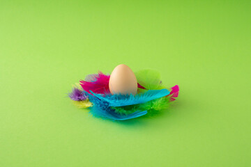 Easter egg in nest made of colorful feather on green background. Minimal aesthetic Easter concept. 