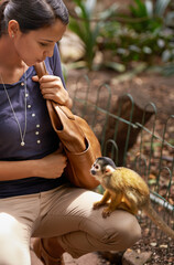 This was the happiest shed ever be. Cropped shot of a young woman interacting with a little monkey...
