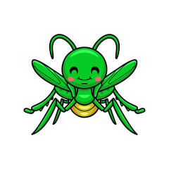 Cute little mantis cartoon character