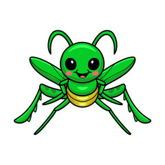 Cute little mantis cartoon character