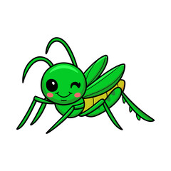 Cute little mantis cartoon character