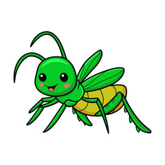 Cute little mantis cartoon character