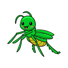 Cute little mantis cartoon character