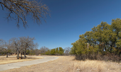 Fototapeta premium Scenic view landscape. Way to the lake Brownwwod state park, during winter season. 