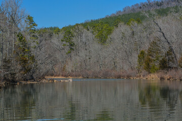 Cucumber Creek flowing through  Ouachita National Forest, Broken Bow, McCurtain County, Oklahoma