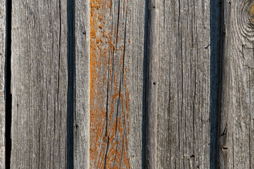 Old wood plank with nails and knots texture background in the midday sun, close-up view