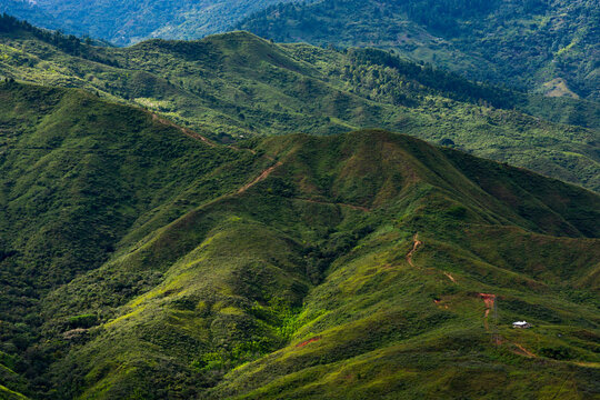 valle del cauca