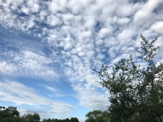 Obraz premium 구름