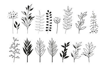 leaves set vector design illustration isolated on white background
